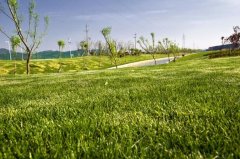 �¸�һ���̻�