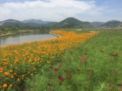 ����������